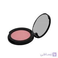 رژ گونه پینک این چیک SLA