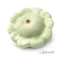 بذر کدو ستاره ای سفید بسته 10 عددی