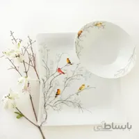 سرویس چینی زرین 30پارچه رسپینا