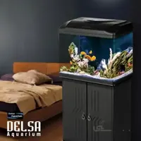 آکواریوم دلسا k580