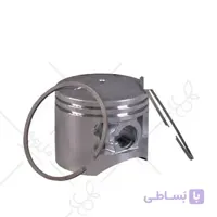 رينگ و پيستون سمپاش پشتی سولو 050