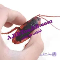 مجموعه حیوانات ژله ای چندش آور