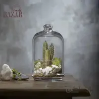 ظرف عسل خوری بلند پاشاباغچه کد 96699