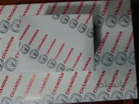 فیلترروغنchangan