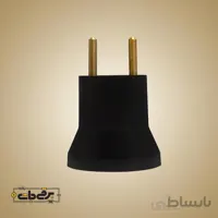 سرپیچ  دوشاخه دار