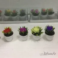 گل 4 عددی طلقی مینیاتوری