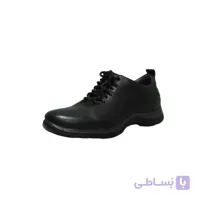 کفش اداری سیامی