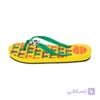 دمپایی لاانگشتی پسرانه