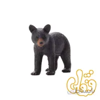 توله خرس سیاه Black Bear Cub 387287