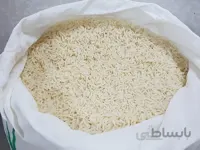 برنج کشت دوم فریدونکنار