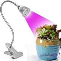 لامپ رشد گیاه پایه دار