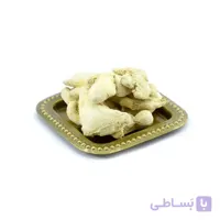زنجبیل قلم
