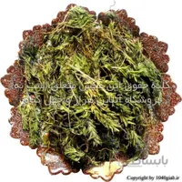 پونه کوهی خشک