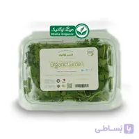 سبزی گشنیز تازه ارگانیک باغ ارگانیک سدرا – 100 گرم