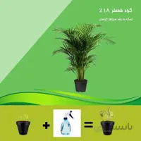 کود فسفر 18