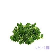 بذر شنبلیله بسته 3 عددی مدل GPSV7L