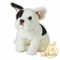 بولداگ فرانسوی 742291