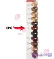 رنگ مو کالیون سری Professional شماره KP6 سولاری