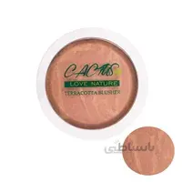 رژگونه تراکوتا کاکتوس شماره 46