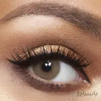 لنز رویال ویژن