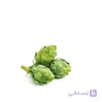 بذر کنگر فرنگی بسته بندی بزرگ مدل GPSV7L