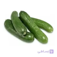 بذر خیار بوته ای