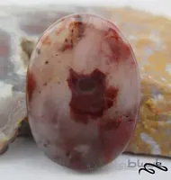 نگین عقیق مصور(نمای صورت یک سگ دوبرمن) (۹۵-۰)