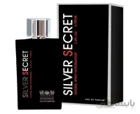 عطر ادکلن مردانه RODIER مدل SILVER SECRET