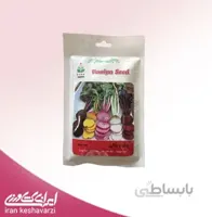 چغندر رنگی