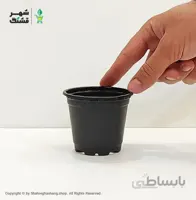 گلدان ژله ای سایز 8 (بسته 20 عددی)