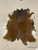 پوست طبیعی گاو تزنیِِینی ۱۶ پا