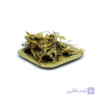 زیرفون