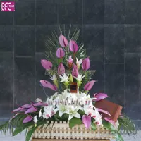 سبد بله برون