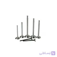 سوپاپ دود و بنزین سمند