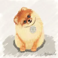 اویز قلاده استیل طرح سگ نژاد 7 کد CD 07 ا Steel Tag Dog Breed 7 Model CD-07