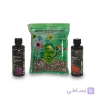 پکیج کاکتوس