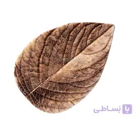 قالیچه زرباف طرح برگ سه بعدی