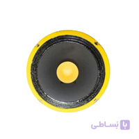 میدرنج کیواس مدل YD200-1F ا QS YD200-1F CAR MIDRANGE