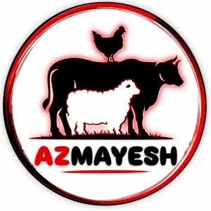 آزگوشت