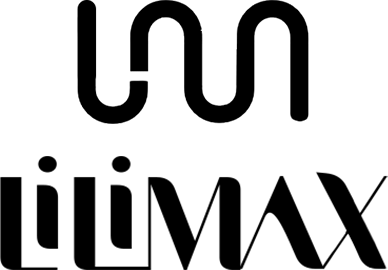لی لی مکس