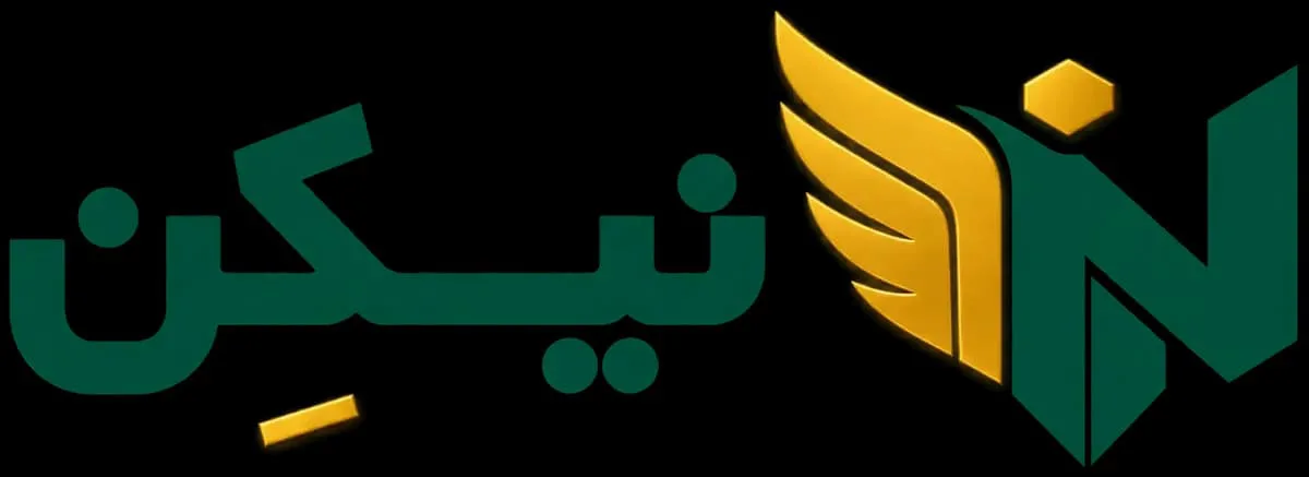 چاپ سه بعدی نیکن
