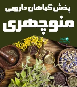 عطاری منوچهری شاپ