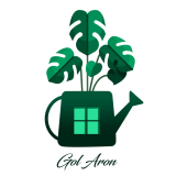 گل آرون مارکت