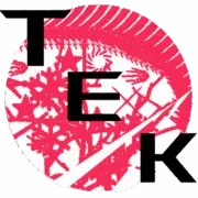 تک سی تی