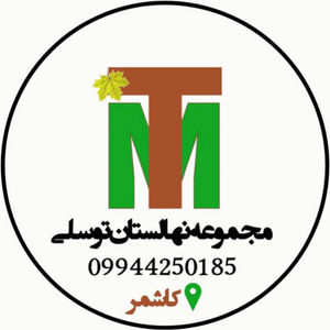 نهال ترکمن