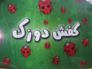 امیر4094