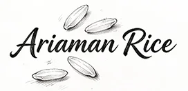آریا من رایس