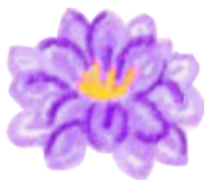لیلیلونا