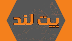 پت لند هاب