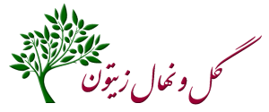 گل و نهال زیتون